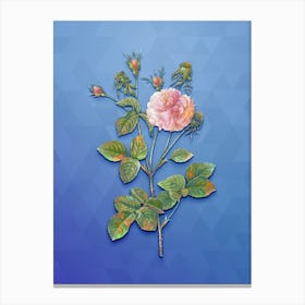 Vintage Pink Agatha Rose Botanical Art on Blue Perennial n.1363 Canvas Print