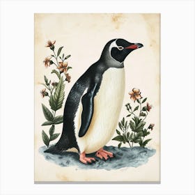 Adlie Penguin Floreana Island Vintage Botanical Painting 2 Canvas Print