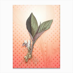 Koemferia Longa Vintage Botanical in Peach Fuzz Polka Dot Pattern n.0287 Canvas Print