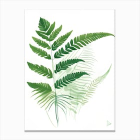 Fern Leaf Canvas Print