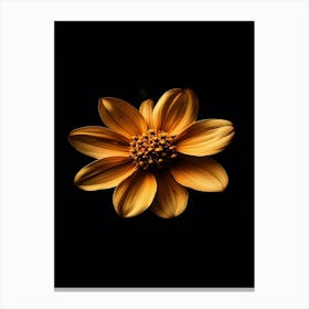 Yellow Flower On Black Background 2 Canvas Print