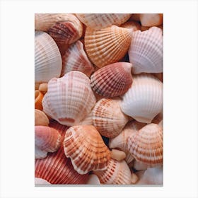 Sea Shells Canvas Print