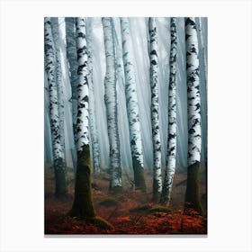 Birch Forest 60 Canvas Print