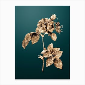 Gold Botanical Pink Francfort Rose on Dark Teal n.2495 Canvas Print