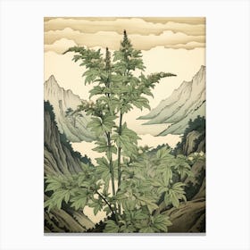Yomogi Japanese Mugwort 2 Japanese Botanical Illustration Canvas Print