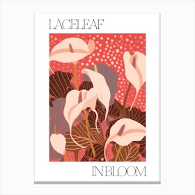 Laceleaf In Bloom Flowers Bold Illustration 1 Canvas Print