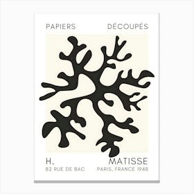 H Matisse 61 Canvas Print