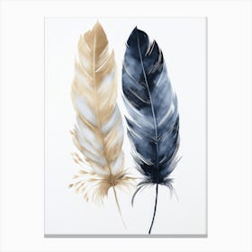 Feathers 1 Canvas Print