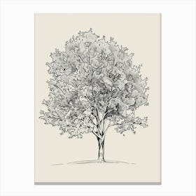 Ash Tree Minimalistic Drawing 2 Canvas Print