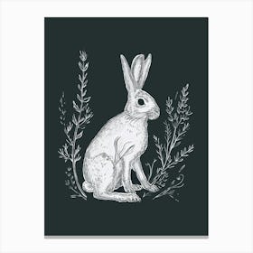Dutch Rabbit Minimalist Illustration 2 Canvas Print