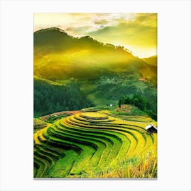 Rice Terraces In Vietnam Canvas Print