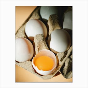 Eggs In A Carton 4 Canvas Print