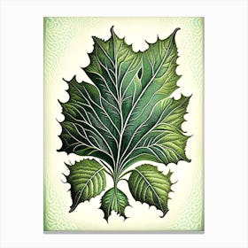 Madder Leaf Vintage Botanical 3 Canvas Print