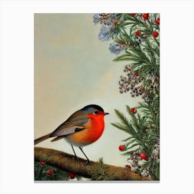 European Robin Haeckel Style Vintage Illustration Bird Canvas Print
