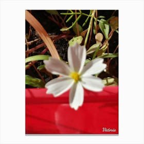 White Flower 4 Canvas Print