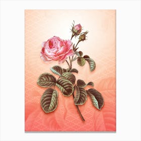 Provence Rose Vintage Botanical in Peach Fuzz Hishi Diamond Pattern n.0222 Canvas Print