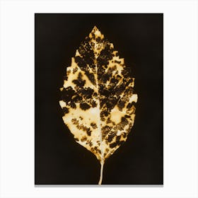 Gilded Leaf Canvas Print