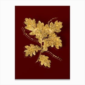Vintage English Oak Botanical in Gold on Red n.0320 Canvas Print