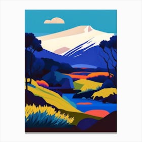 Thingvellir National Park Iceland Pop MatisseII Canvas Print