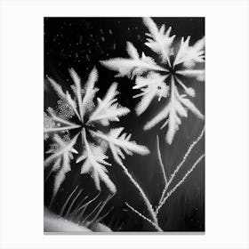 Delicate, Snowflakes, Black & White 5 Canvas Print