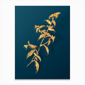 Vintage Birdbill Dayflower Botanical in Gold on Teal Blue n.0010 Canvas Print