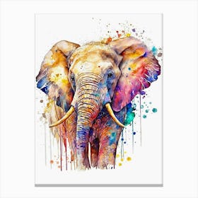 Elephan Water Color Canvas Print