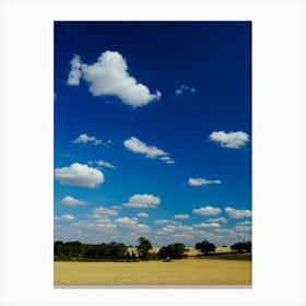 Hot Summer Wheat Field Canvas Print