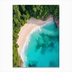 Aerial View Of A Tropical Beach 1 Canvas Print