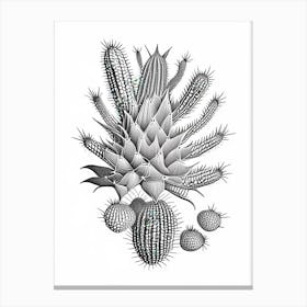 Star Cactus William Morris Inspired 1 Canvas Print