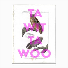 Ta Wit Ta Woo Vintage Owl Canvas Print