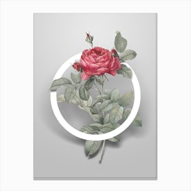 Vintage Red Gallic Rose Minimalist Floral Geometric Circle on Soft Gray n.0415 Canvas Print