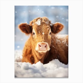 Cow Lying In The Snow Canvas Print
