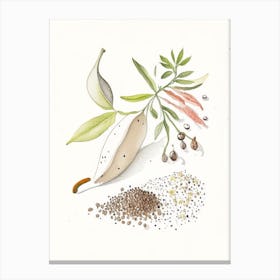 White Pepper Spices And Herbs Pencil Illustration 1 Canvas Print