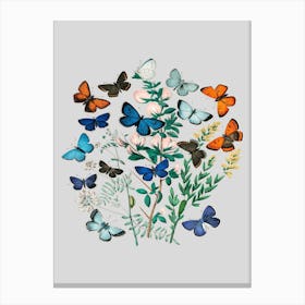 Vintage Flowers Butterfly Floral Illustration Light Grey Canvas Print