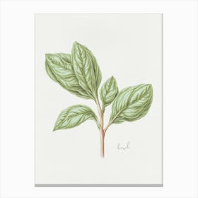 Basil Herb Sprig - Textured Botanical Wall Print Set | Floral Collection Art Print Canvas Print