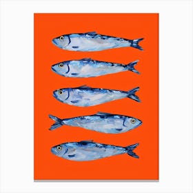 Sardines 3 Canvas Print