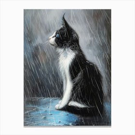 Cat In The Rain 3 Canvas Print