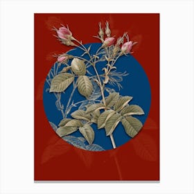 Vintage Botanical Evrat's Rose with Crimson Buds on Circle Blue on Red n.0273 Canvas Print