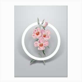 Vintage Pink Ruddy Godetia Minimalist Flower Geometric Circle on Soft Gray n.0423 Canvas Print