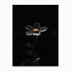 Black Flower 2 Canvas Print