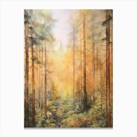 Autumn Forest Landscape Redwood National And State Park Canvas Print