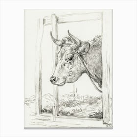 Head Of A Cow (1820), Jean Bernard Canvas Print