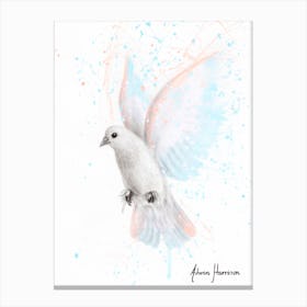 Peace Dove Canvas Print