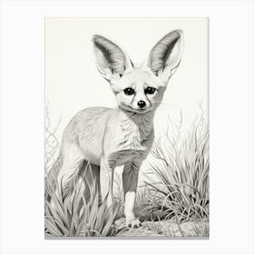 Fennec Fox In A Field Pencil Drawing 3 Canvas Print