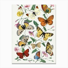 Butterflies And Flowers Canvas Print