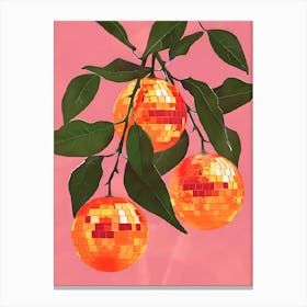 Oranges On A Branch 2 Canvas Print