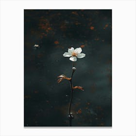 Single Flower In Water 27 Canvas Print