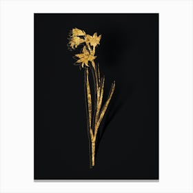 Vintage Painted Lady Botanical in Gold on Black n.0152 Canvas Print