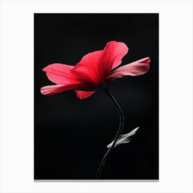 Single Red Poppy Flower Canvas Print