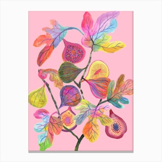 Colorful Figs Pink Canvas Print